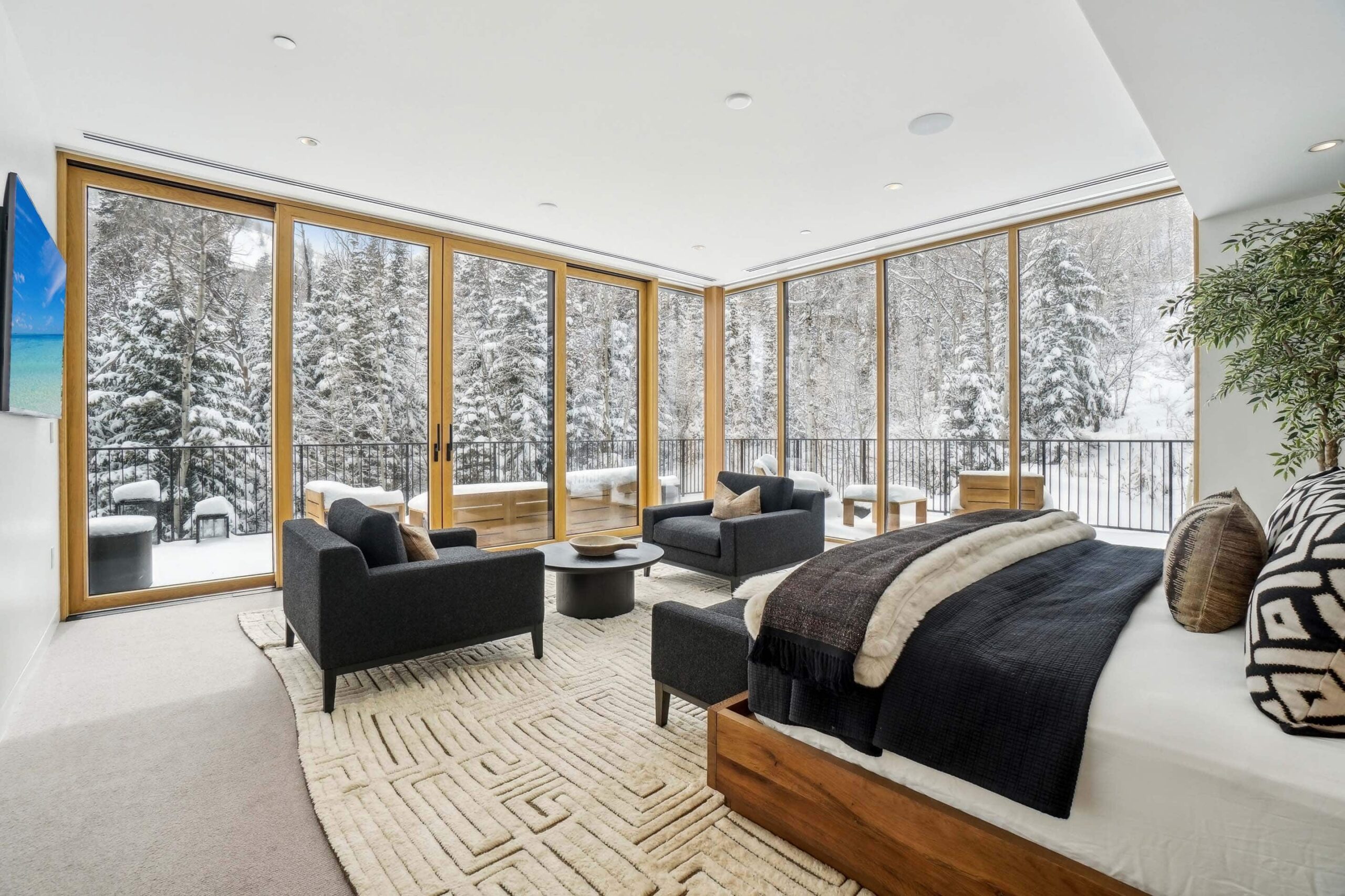 45-print-Deer Hollow Rd 1701-02042025-045